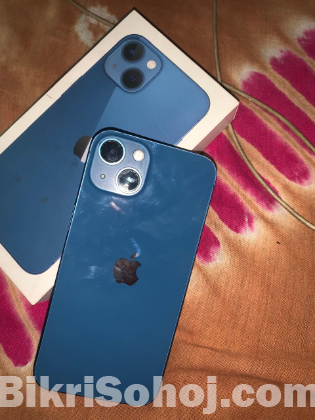 Apple 13